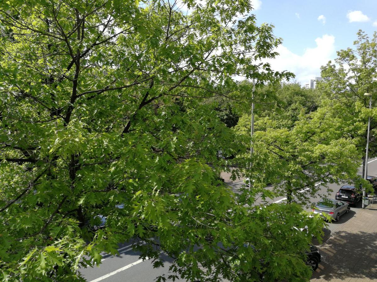 אופנבאך 2-Zimmer Apartment Sofia, Gemuetlich Wie Zu Hause מראה חיצוני תמונה